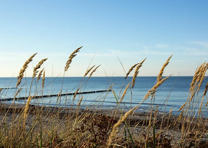 Apartment Strandleben Haus Strandperle
